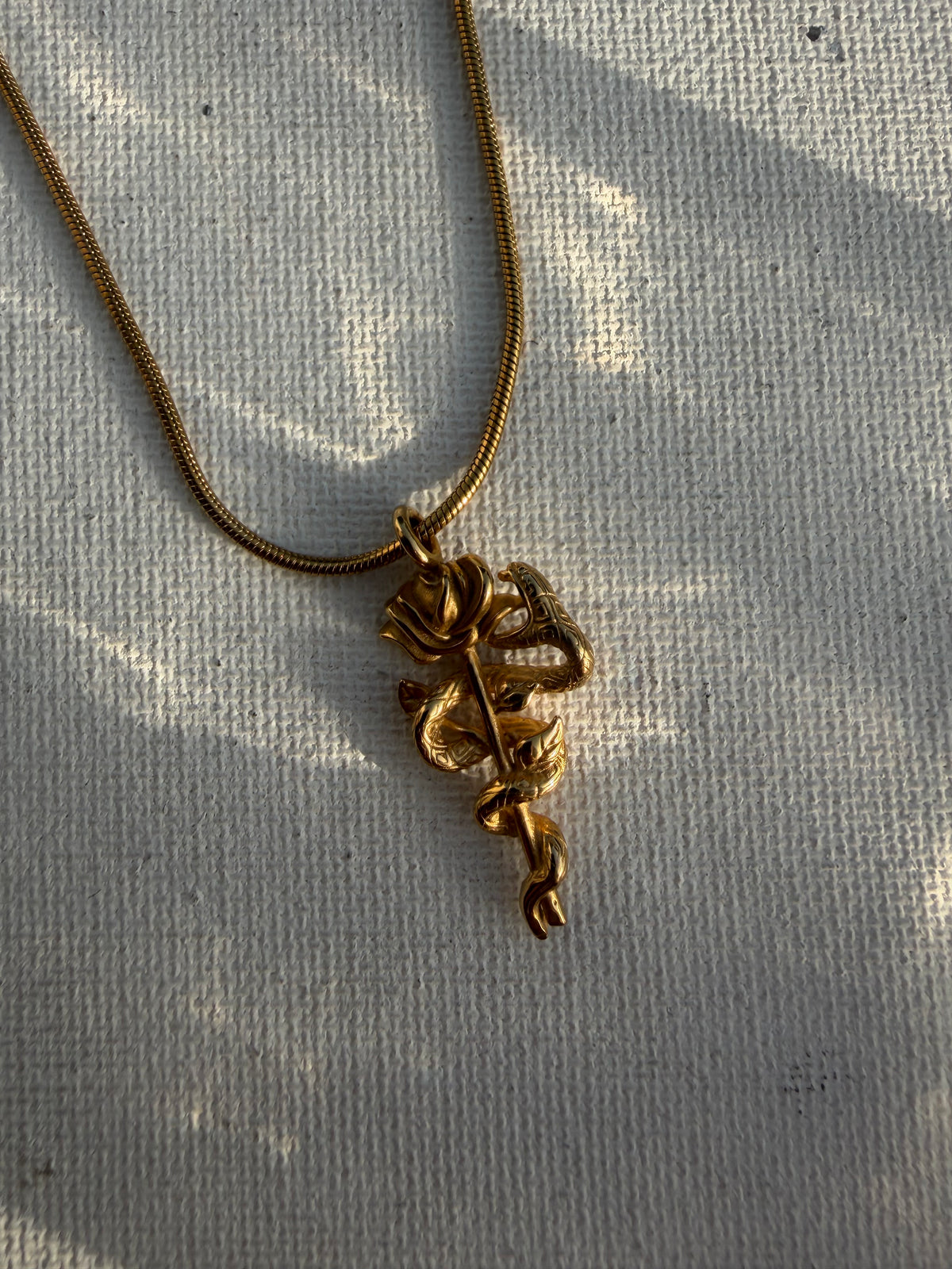 The Serpent Embrace Unisex Chain