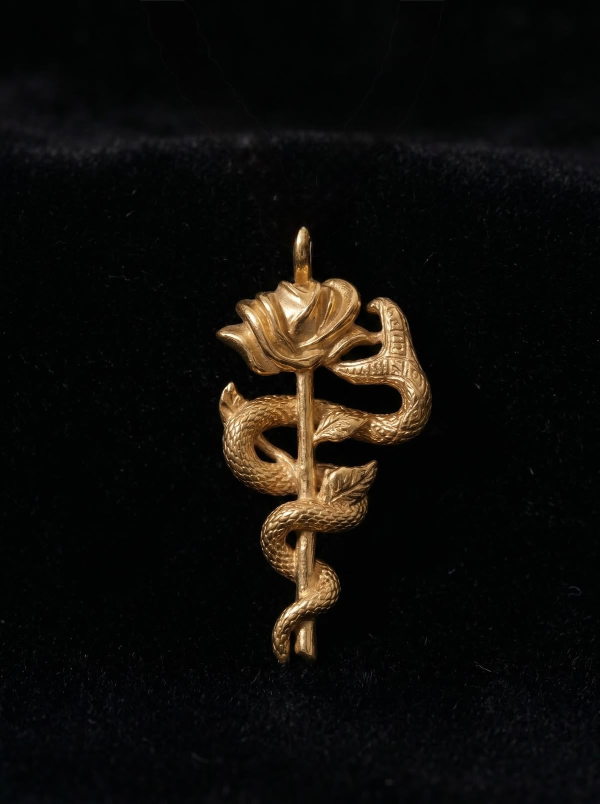 The Serpent Embrace Unisex Chain